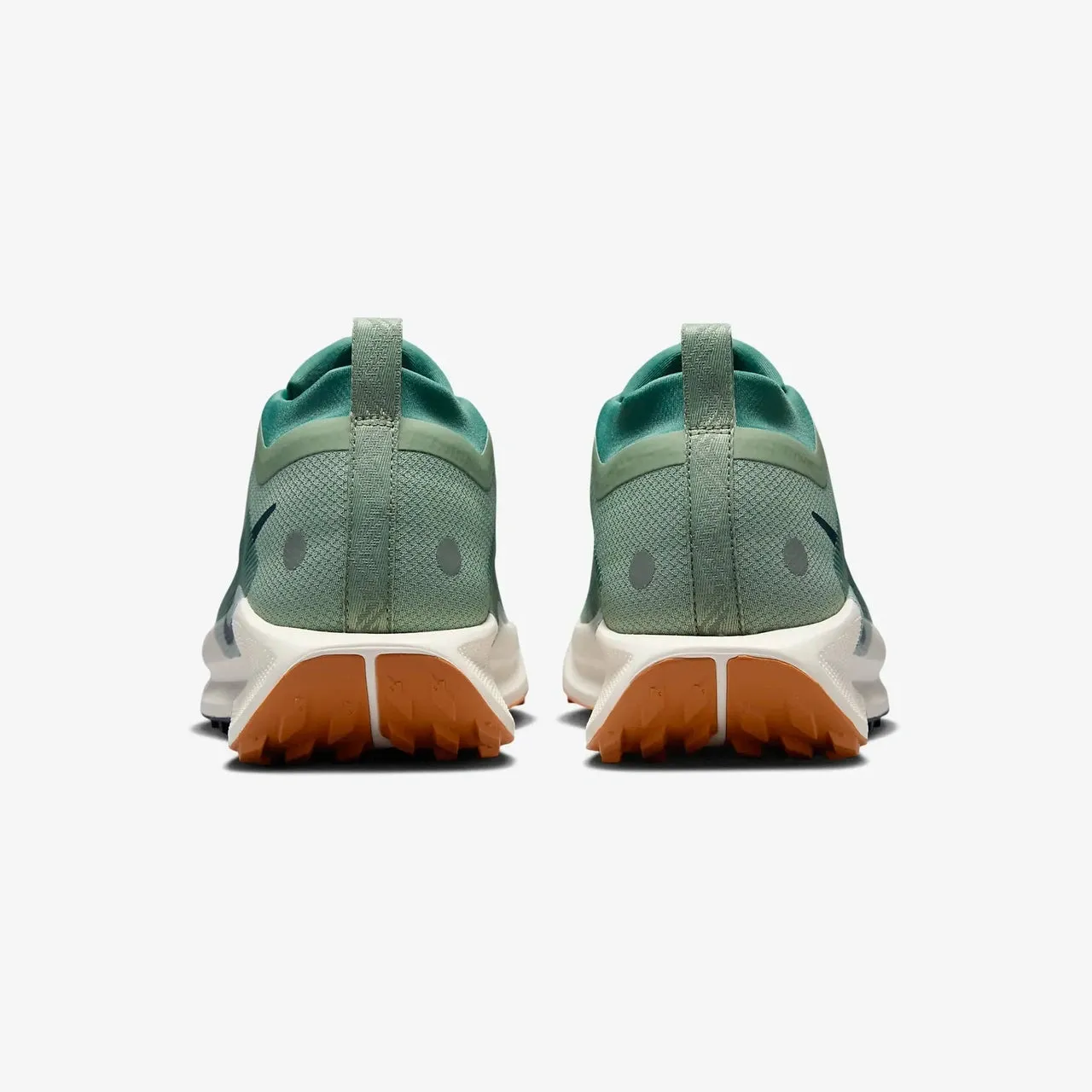 Nike Pegasus Trail 5 GTX Men's