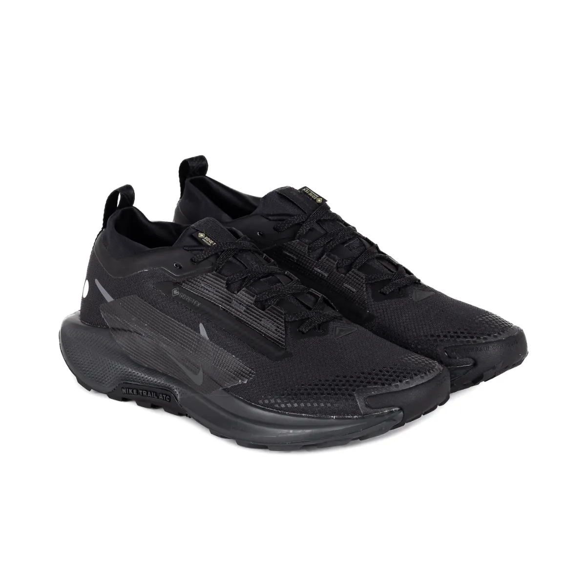 Nike Pegasus Trail 5 GTX Men's