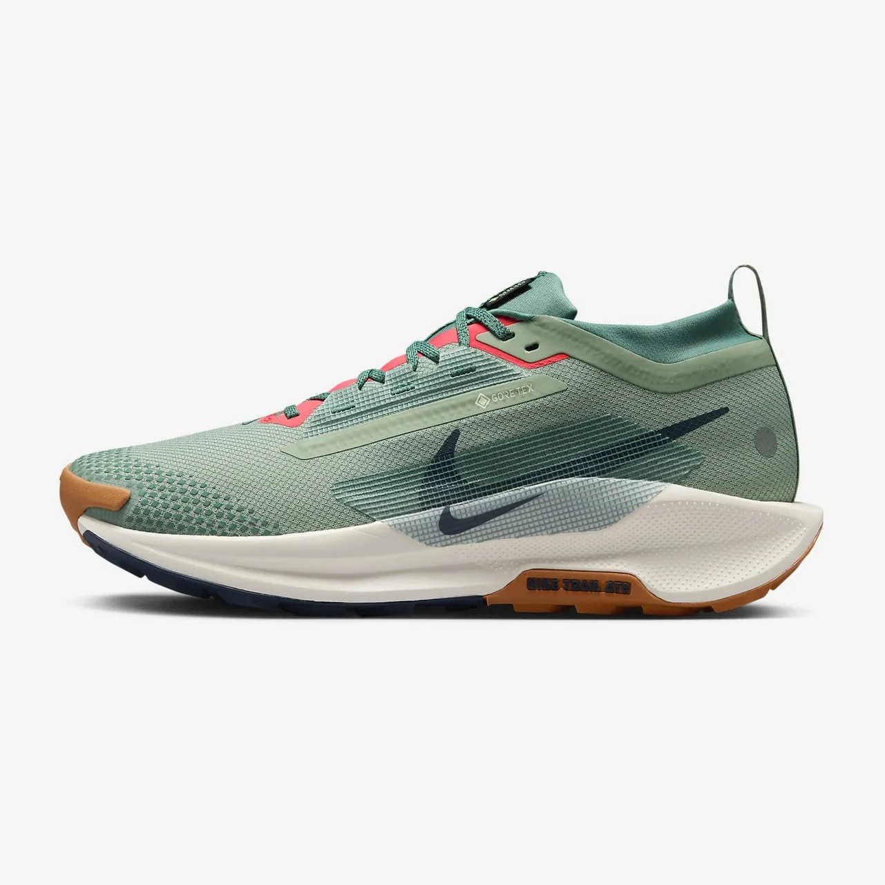 Nike Pegasus Trail 5 GTX Men's